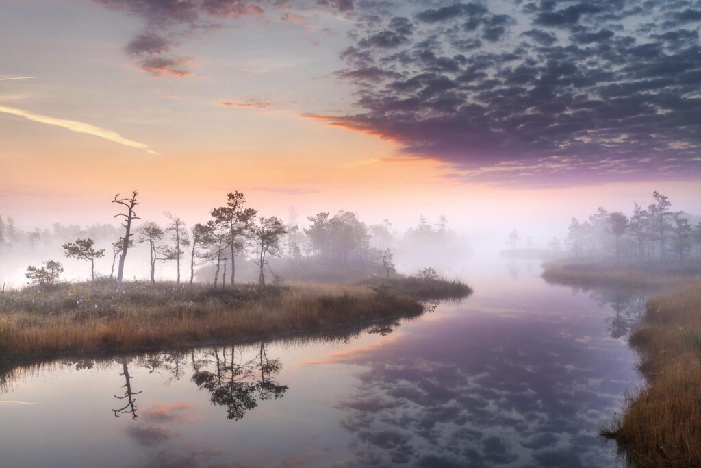 Kemeri National Park