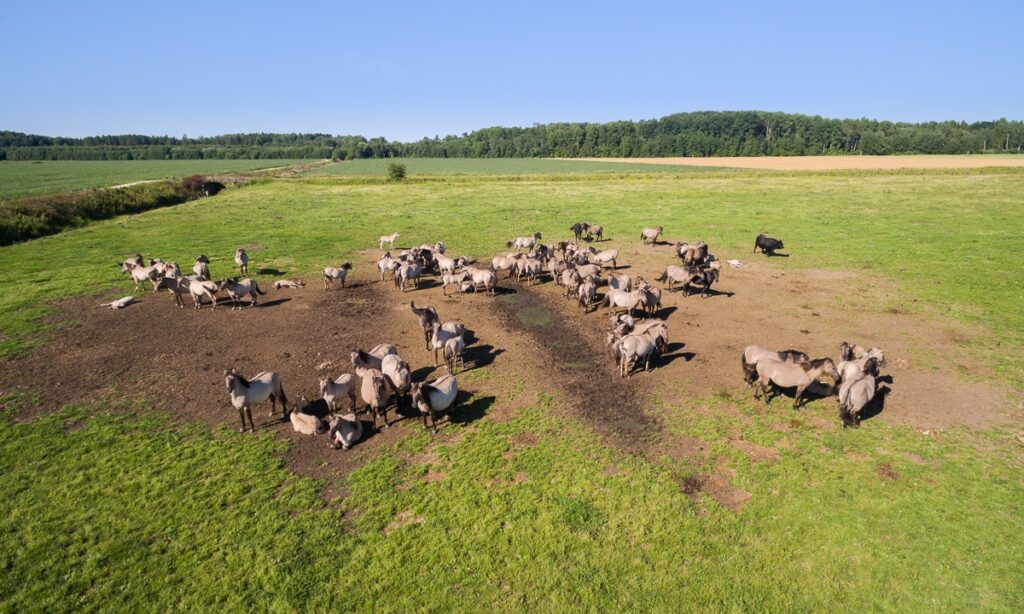 Kemerun National Park